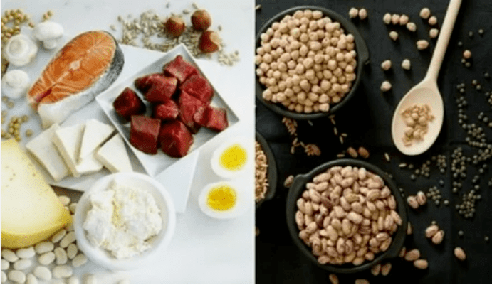 Ejemplos de productos de dieta de proteínas